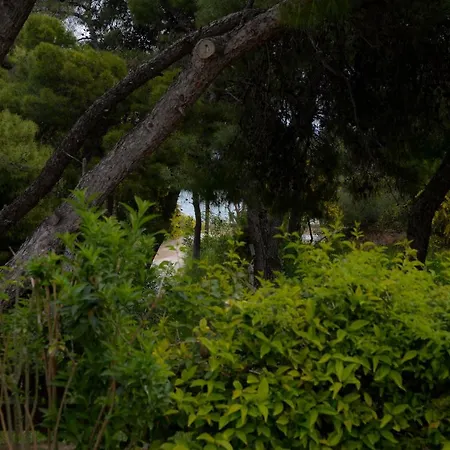 Cavo Paradiso Villa *